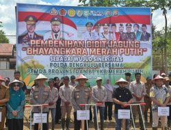 Program Pembibitan Jagung Nasional Resmi Diluncurkan