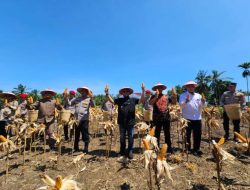 Polres Seluma Gelar Panen Raya Jagung Serentak Kuartal II