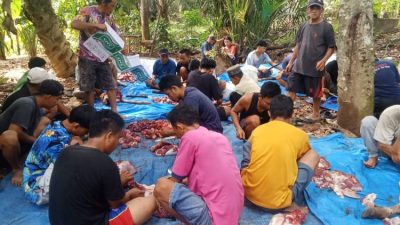 Warga Desa Teruntung Kurban 11 Ekor Sapi dan 4 Ekor Kambing di Hari Raya Iduladha
