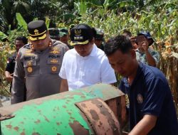 Kolaborasi TNI-Polri dan Pemda Bengkulu Utara Dukung Swasembada Pangan Lewat Panen Jagung Serentak