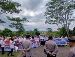 Ratusan Honorer di Seluma Gelar Aksi Demo Tuntut Kejelasan Seleksi PPPK Tahap II