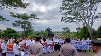 Ratusan Honorer di Seluma Gelar Aksi Demo Tuntut Kejelasan Seleksi PPPK Tahap II