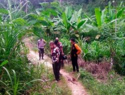 Tindak Pidana Curas di Rejang Lebong: Korban Alami Luka di Kepala
