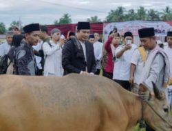 Bupati Bengkulu Utara Serahkan 2 Ekor Sapi Kurban ke Masyarakat Padang Jaya