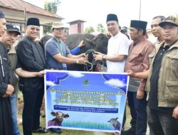 Pemkab Rejang Lebong Perkuat Kepedulian Sosial melalui Qurban Idul Adha