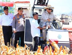 Presiden Senang Panen Raya Jagung Inisiasi Polri Berhasil