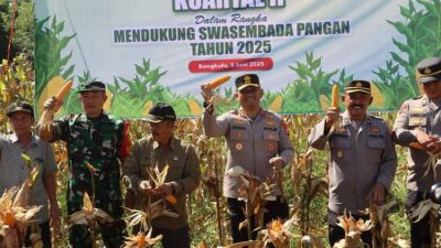 Panen Raya Jagung Kuartal II di Polsek Bermani Ilir