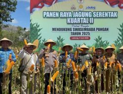 Ekspor Jagung ke Malaysia, Polres Lebong Tunjukkan Komitmen Swasembada Pangan