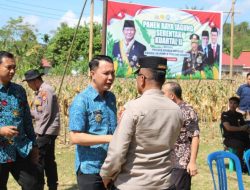 Panen Jagung Serentak di RL Dorong Swasembada Pangan