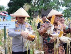 Sinergi Petani, Polri, dan Pemkab Ketahanan Pangan di Mukomuko