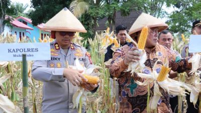 Sinergi Petani, Polri, dan Pemkab Ketahanan Pangan di Mukomuko