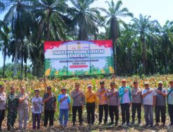 TNI-Polri dan Pemda Bengkulu Selatan Bersatu Wujudkan Swasembada Pangan