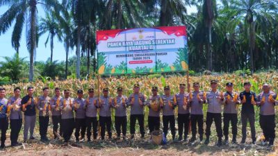 Kapolres Bengkulu Selatan Gelar Panen Raya Jagung Kuartal II Serentak