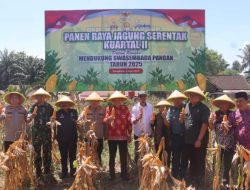 Panen Raya Jagung Serentak di Lahan Binaan Polsek Pondok Kelapa