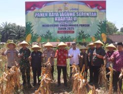 Polsek Pondok Kelapa Gelar Panen Raya Jagung Kuartal II