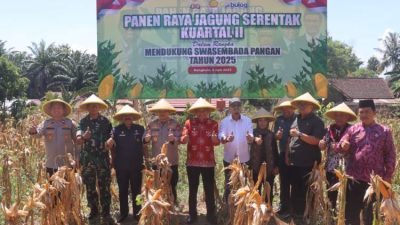 Polsek Pondok Kelapa Gelar Panen Raya Jagung Kuartal II