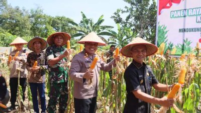 Panen Raya Jagung Serentak, Polres Kaur Ikuti Zoom Meeting dengan Presiden