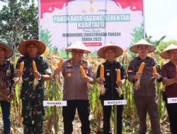 Polres Kaur Ikuti Panen Raya Jagung Serentak Kuartal II Bersama Presiden