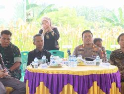 Kapolres Kaur Pimpin Panen Raya Jagung, Perkuat Ketahanan Pangan Lokal