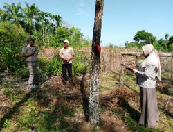Pastikan Tata Ruang Sesuai, Tim Pertanahan Turun ke Lapangan