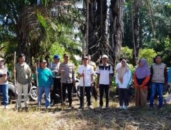 BumDes Muara Pulutan Tanam Jagung, Dorong Ketahanan Pangan Desa