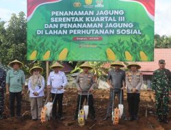 Kapolda Bengkulu Tanam Jagung Serentak Kuartal III, Dukung Ketahanan Pangan Nasional