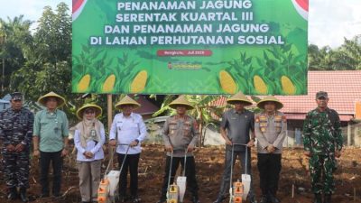 Kapolda Bengkulu Tanam Jagung Serentak Kuartal III, Dukung Ketahanan Pangan Nasional