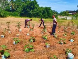 Satbrimob Polda Bengkulu Dukung Program Ketahanan Pangan