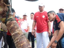 Kapolda Bengkulu Hadiri Penanaman 10 Ribu Pohon Kelapa di Pantai Panjang