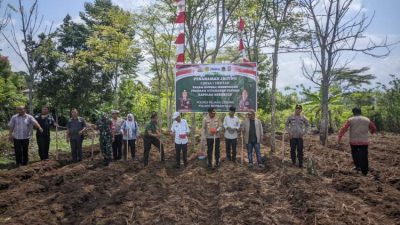Desa Air Bening Tanam Jagung Massal, Dukung Program 1 Desa 1 Hektar Kapolda Bengkulu