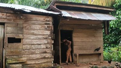 Gubernur Gratiskan Pengobatan dan Bedah Rumah Balita Penderita Cacingan di Seluma