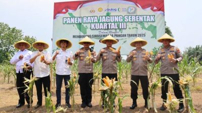 Kapolda Bengkulu Pimpin Panen Raya Jagung Serentak di Bengkulu Tengah