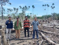 Dukung Ketahanan Pangan, Dua Desa di Mukomuko Buka Lahan Jagung Serentak Satu Hektare