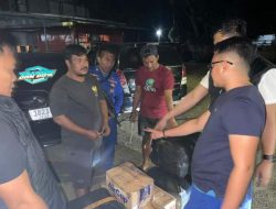 Polisi Airud Gagalkan Penyelundupan 50 Ribu Benih Lobster, Potensi Rugi Negara Rp7,5 Miliar