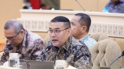 Wamen Ossy Dorong Penguatan Peran Kepala Daerah dalam GTRA