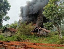 KKB Tembak Warga Sipil dan Bakar Rumah di Asmat