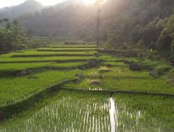 Menteri Nusron: Reforma Agraria Jawab Ketimpangan Tanah