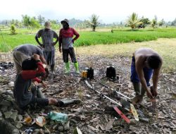 Desa Sukaraja Siap Tanding di Lomba Sadesahe Jagung