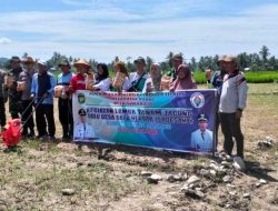 Warga Sukaraja Tanam Jagung, Dukung Lomba Sadesahe
