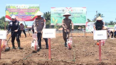 Polda Bengkulu Tanam Jagung Serentak, Dorong Kemandirian Pangan
