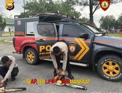 Cegah Pohon Tumbang, Ditsamapta Sisir Jalur Wisata