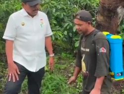 Mian Tinjau Jalan Simpang Air Lang–Desa Pelalo, Ajak Petani Kopi Beli Avanza