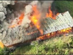 KKB Bakar Sekolah di Kiwirok, TNI-Polri Pukul Mundur Pelaku