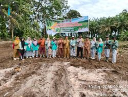 Pemdes Lalang Luas Tanam Jagung, Dukung Program Satu Desa Satu Hektar