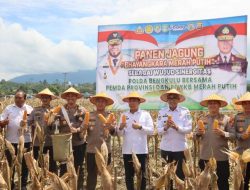 Kapolda Bengkulu Panen Jagung Bhayangkara Merah Putih di Kepahiang