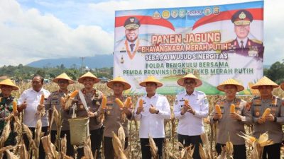 Kapolda Bengkulu Panen Jagung Bhayangkara Merah Putih di Kepahiang