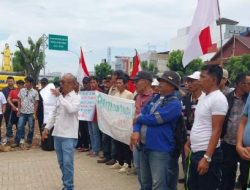 LSM PEKAT Gelar Aksi Damai, Desak Audit Perkebunan Tanpa HGU dan Tuntaskan Kasus Tambang