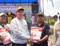 Turun ke Sawah, Sultan Serahkan Alsintan dan Benih Jagung untuk Petani Bengkulu