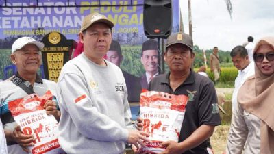 Turun ke Sawah, Sultan Serahkan Alsintan dan Benih Jagung untuk Petani Bengkulu