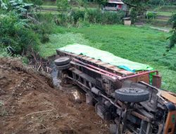 Truk Puso Bermuatan Tisu Masuk Rawa di Air Meles Atas, Sopir Selamat